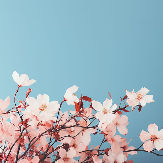 FLORAL SOAP COLLECTION