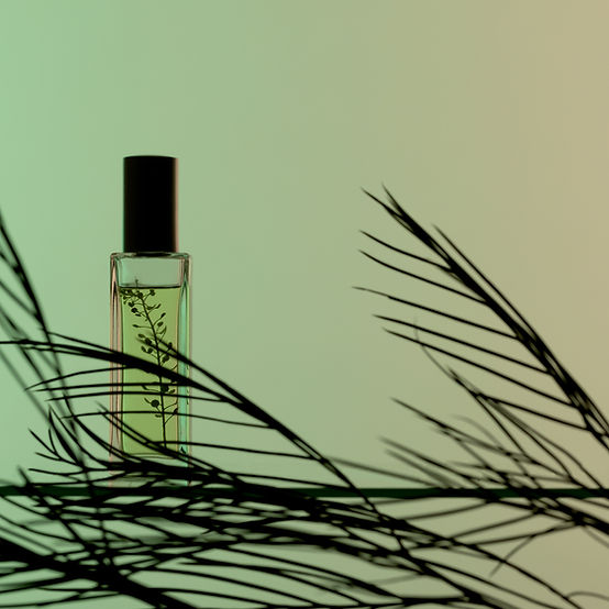 MEN'S SOAP COLLECTION