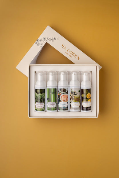 Men's Collection Mini Set | Foaming Hand Soap