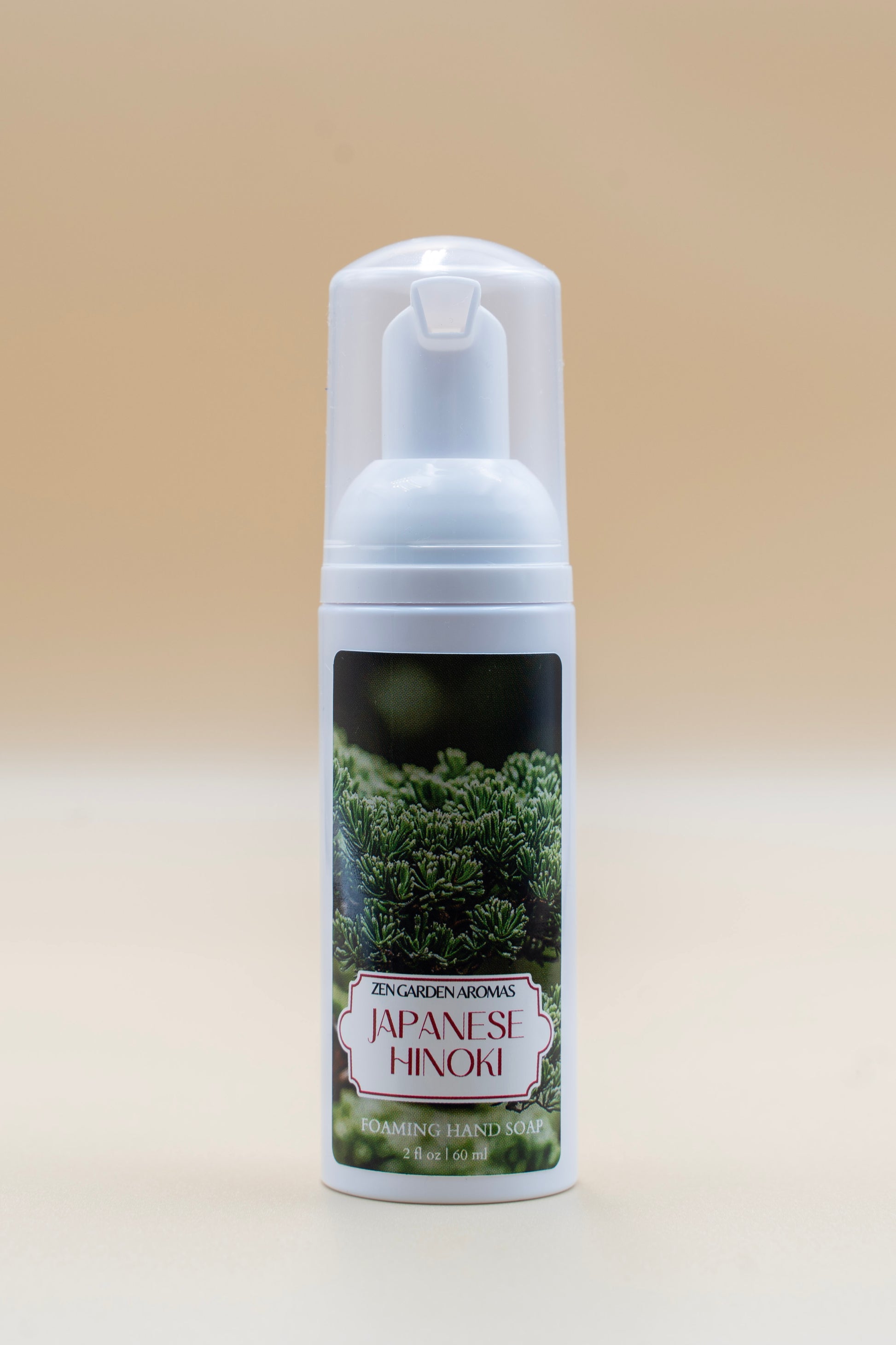 Mini Japanese Hinoki image 0